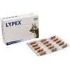 VETPLUS LTD Lypex 60 Capsule