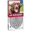 ELANCO ITALIA SPA Advantix Spot-On Gocce Antiparassitarie Cani Oltre 25 Kg 4 Pipette