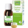 BOIRON SRL Carpinus Betulus Macerato Glicerico 60 Ml Int