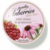 EUROSPITAL SPA Anberries Ribes Ro&echinacea
