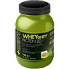 + watt srl Wheyghty Cacao 750 G