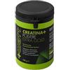 + watt srl Creatina+ Polvere Extragold 100 G