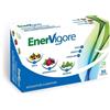 Nutra erbe srls Enervigore 30 Capsule