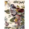 NANIMARQUINA tappeto FLORA BACKYARD - FLORA-BACKYARD-200x300