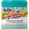 Coswell Zanzarella Ambiente Profumatore Naturale 170g
