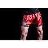 Kenneth J Lane SAK2-24, Pantaloncino Kickboxing Unisex Adulto, Rosso, M