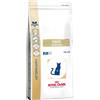 Royal Canin Veterinary DF Fibre Response Per Gatto 2kg