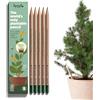 Sprout Matite Grafite | Edizione Plant a Tree | Matite Piantabili con Semi di Abete| Legno ecosostenibile Biologico| Set Regalo Ecologico con Frasi Motivazionali Incise | Confezione da 5