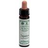 Ainsworths Impatients 10Ml 10 ml Gocce orali