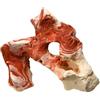 Nobby Pietra Acquario Decorativo, 10.5 x 8.5 x 15.5 cm