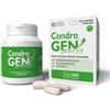 Innovet Condrogen Energy Integratore per Articolazioni dei Cani 60 compresse