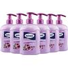 Milmil Detergente Intimo, Fragranza Estratto di Malva, con Dispenser, Dermatologicamente Testato - 6 x 500 ML