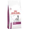 Royal Canin Veterinary Diet Dog Renal 2