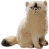 Carl Dick Peluche, Gatto persiano beige 35cm di Luigi Bocchetta 2514