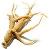 Antica Farmacia Orlandi Ginseng Radice Intera Da 100 G