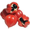 Antica Farmacia Orlandi Guarana' Semi Torrefatti Interi 100 Gr