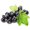 Antica Farmacia Orlandi Ribes Nero Frutti 100 Gr