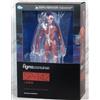 Max Factory THE TABLE MUSEUM Human Anatomical Model Figma SP-142 Freeing Max Factory