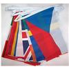 AZ FLAG GHIRLANDA 6 metri 19 BANDIERE 19 COMUNITÀ AUTONOME DELLA SPAGNA CON CITTÀ 21x15cm - BANDIERA REGIONI SPAGNOLE 15 x 21 cm - FESTONE BANDIERINE - AZ FLAG