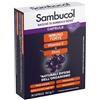 NAMED Srl SAMBUCOL IMMUNOFORTE 30CPS