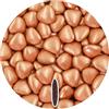 Confetti Perle di Sulmona con Nocciola - 500 gr - Confetti Pelino