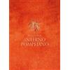 5 Continents Editions Interno pompeiano. Ediz. illustrata