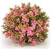 biOrb Decorazione Acquario Sfera FIORITA Viola biOrb Art 46088
