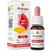 dicanapa Olio CBD 40% Biologico Certificato Made in Italy 10 ml 4000 mg - 100% Naturale Olio di Cannabis Canapa - Hemp Oil Full Spectrum - gocce per dormire, Ansia, Dolori