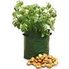 Haxnicks Tierra Garden haxnicks Vaso