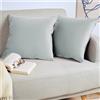 Blumtal Set di 2 Federe Cuscini Divano 40x60 cm in Velluto, con Chiusura Lampo Invisibile, Eleganti Copricuscini Divano in Morbido Velluto,Taglia 40 x 60, Grigio Dove