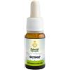 Maharishi Ayurveda nasyamap - Olio eutrofico ed emolliente 10 ml