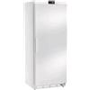 AMITEK Armadio frigorifero - Temperatura -18°C - Capacità litri 580 - cm 77.7 x 71 x 189.5 h
