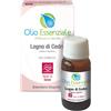ERBORISTERIA MAGENTINA Srl CEDRO LEGNO OLIO ESS 10ML