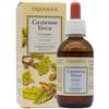 Erbamea Castanea Vesca Gemmoderivato 50ml