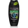 Palmolive Men Refreshing 250 ml