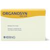 HERING Srl ORGANOSYN 16 HERING 15 Fiale 2ml