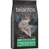 Briantos Adult Agnello & Patate - senza cereali Crocchette cane - Set %: 2 x 12 kg
