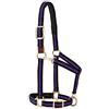 Weaver Equine, Cavezza staccabile per cavalli, comoda imbottitura in schiuma, regolabile, con moschettone sottomento e sottogola, finimenti per cavalli, taglia media, colore: viola