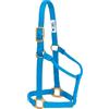 Weaver Equine Weaver Leather Original - Cavezza non regolabile, per cavallo tra 1 e 2 anni, M, blu uragano