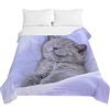 Surwin Trapuntino Copriletto Trapuntato Primaverile Estivo, Stile Moderno, Trapuntino in Morbida Microfibra Stampa Gatto 3D Leggero Coperta Letto Singolo Matrimoniale (Dormi Bene,180x220cm)
