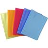 Exacompta 85377E 12 listini trasparenti Linicolor per A4 30 buste 5 colori