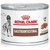 Royal Canin V-diet Gastrointestinal Alimento dietetico completo per cani adulti 200G