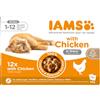 IAMS Delights Kitten cibo umido - Multipack di cibo per gatti con pollo in salsa, cibo di alta qualità per gattini junior da 1 a 12 mesi, 12 x 85 g