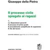 Zanichelli Il processo civile spiegato ai ragazzi. Per le Scuole superiori. Le disposizioni generali. Il processo di primo grado. Il procedimento semplificato di cognizione. Il rito del lavoro (Vol. 1)