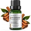 AMYRON Olio Essenziale Cannella Corteccia AMYRON 15 ml 100% Puro E Naturale 15 ml | Cinnamomum Verum | Aroma Caldo E Speziato | Aromaterapia Per Diffusore E Ambiente