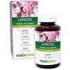 Naturalma Lapacho o Pau d'arco (Tabebuia avellanedae o Tecoma curialis) cortecce Naturalma - 150 g - 300 compresse - Integratore alimentare - Naturale e Vegano