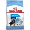 ROYAL CANIN MAXI PUPPY KG 10