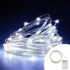 Wisdom Stringa 5 metri da 50 MicroLed Bianco Freddo a batteria Wisdom
