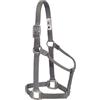 Weaver Equine Weaver Leather Cavezza non regolabile, 2,5 cm, colore grafite