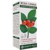 DR.GIORGINI PRESSO SER-VIS Dr. Giorgini Rosa Canina Estratto Integrale Integratore Alimentare 200ml